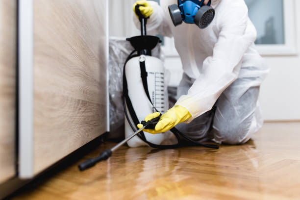 Best Local Pest Control Services  in Jasper, GA
