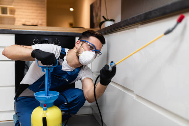 Best Affordable Pest Control Services  in Jasper, GA