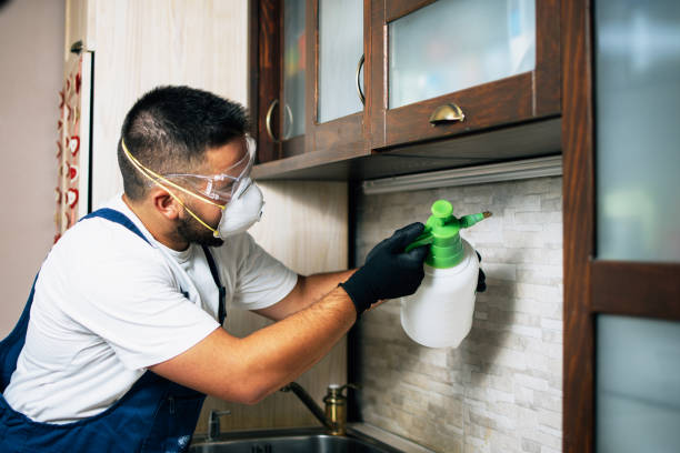 Best Insect Control  in Jasper, GA