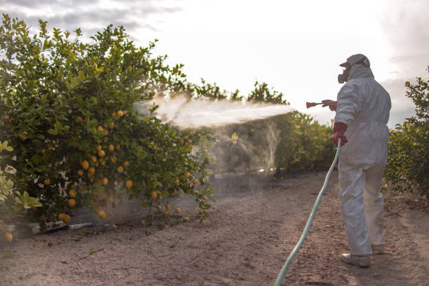 Best Exterminator Services  in Jasper, GA
