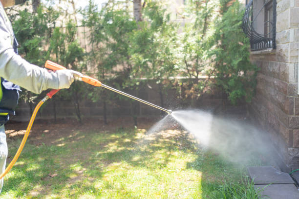 Best Cockroach Control Services  in Jasper, GA