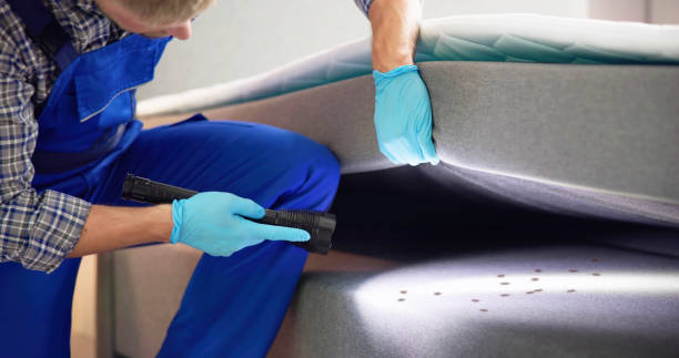 Best Ant Control Services  in Jasper, GA
