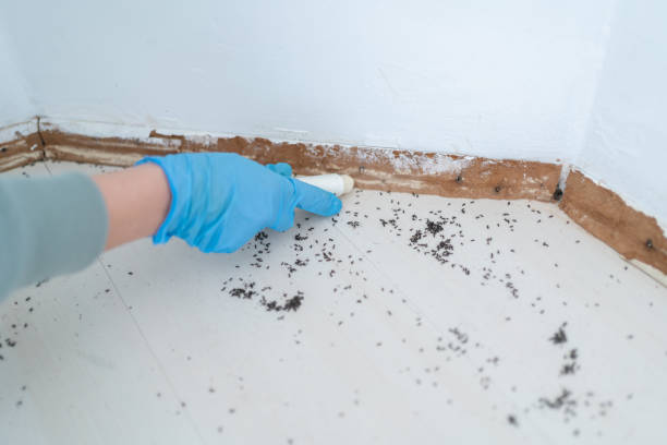 Best Residential Pest Control  in Jasper, GA